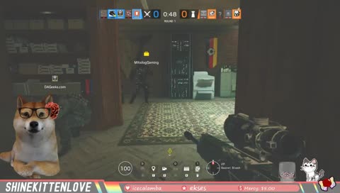 [ENG/FIL] DOGE PLAYS!  >w< ❤ | !youtube !qod