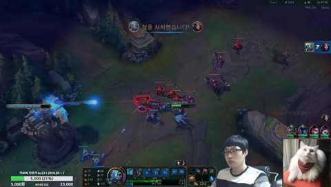 카드심리학 리그오브레전드