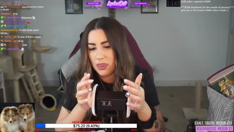 🔴 !ASMR ♥️Live tonight 9pm CST♥️ !sub !twitter