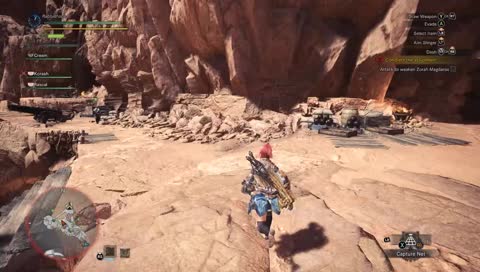 Monster Hunter Monday!