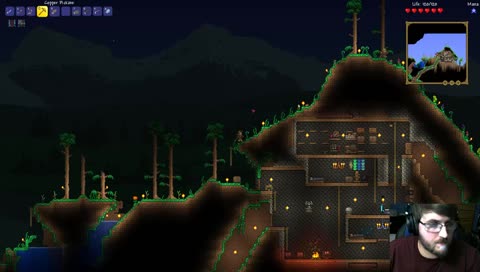 Revisiting Terraria (w/ LewisDruid)