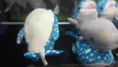 round 1 fun for the kids