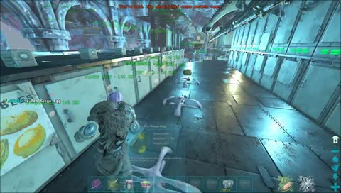 [official pvp] ねれないYO  conquest