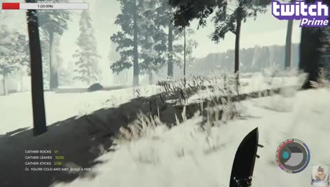 [The Forest] Alternative Ending w/Stony #10 2019