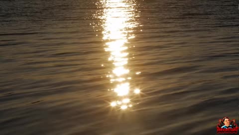 [Zero interation from streamer]Meditation | Mindfullness | Chill | Relax | Day dream | 0% Stress l4l f4f welcome