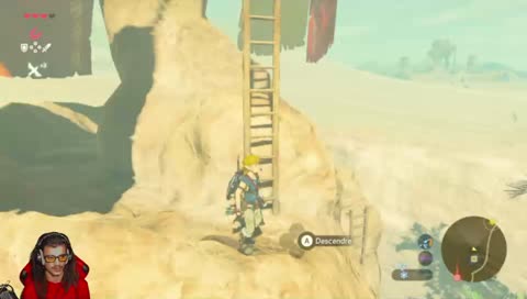 Continuons BOTW !