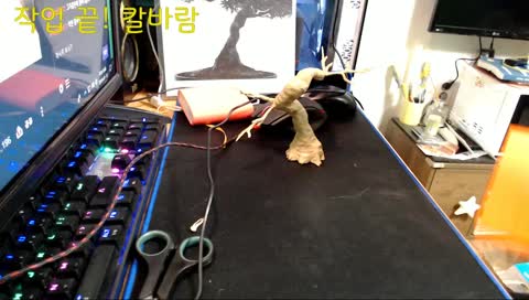 3D Pen 핥핥