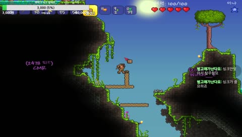 테라리아 시참 가능~(본캐X)