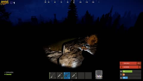 Testing New Beast Coins