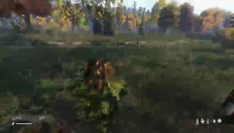 DAYZ NEW UPDATE!!!!!!!!