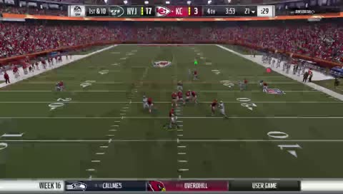 MADDEN 19