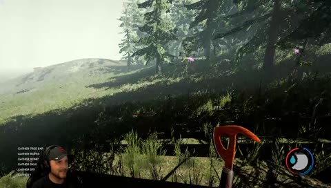 Surviving The Forest - Day 5 | #Road to 1.4k!