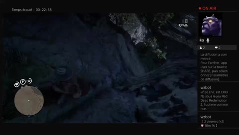 petit live tranquille