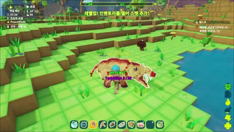 [너굴안주] 이거 어떻게 하는 게임인가요