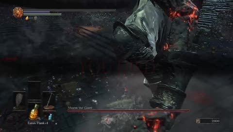 DS3 pontif