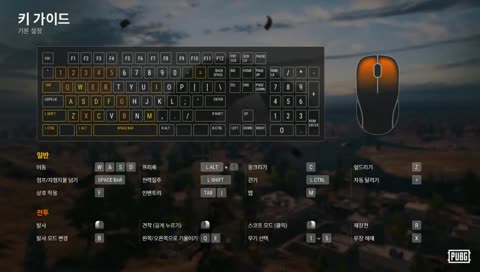 당신의 눈 안녕하십니까