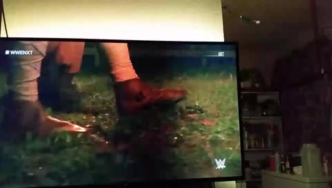 Concert Then NXT & NXT UK