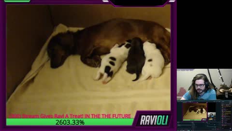 Stream #239 - I AM SORRY I MISSED A DAY, FORGIVE ME | !qod