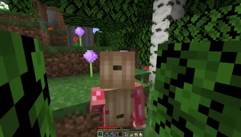 SURVIVAL BTW [Minecraft 19w03a] !eclipse !points !gamble