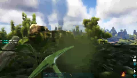 ark