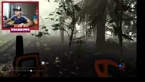 Salio un the forest we
