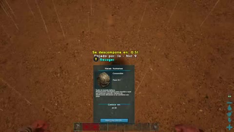 noche de ark
