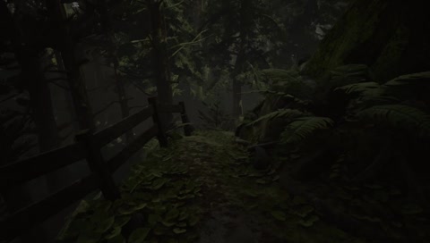 [ger] Edith Finch anschauen