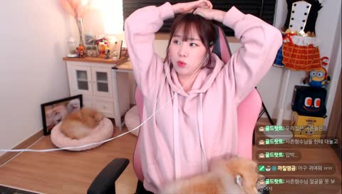 집요정(?)