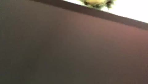 Mobiler Stream von blockbuster4499