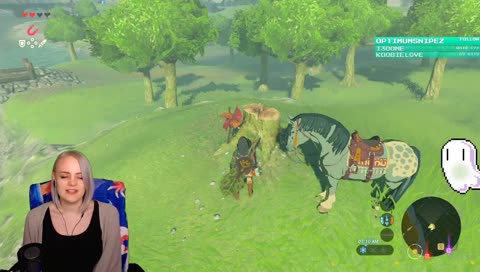 [ ✨ B L I N D ✨] Distraction simulator 2k19 ||  !haunt !pins