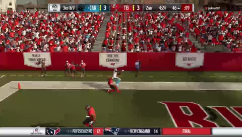 Madden 19 Panthers