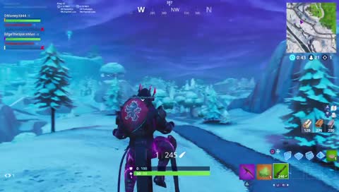 NovocaineWayne Vs. Fortnite