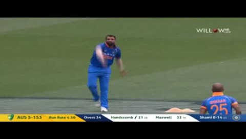 Live Cricket Stream