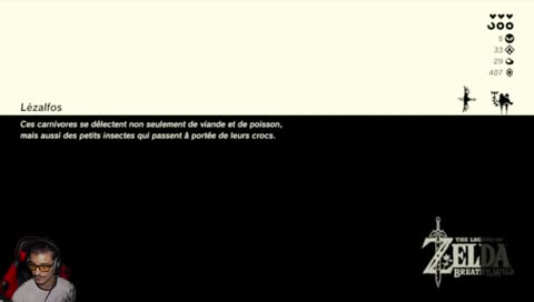 Continuons BOTW !