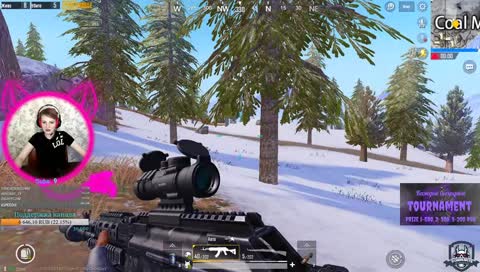 МяукатаО. Возвращение