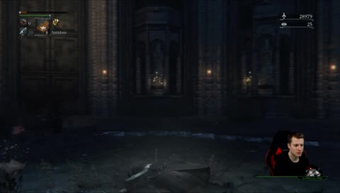 Bloodborne and then MORE DON'T STARVE!