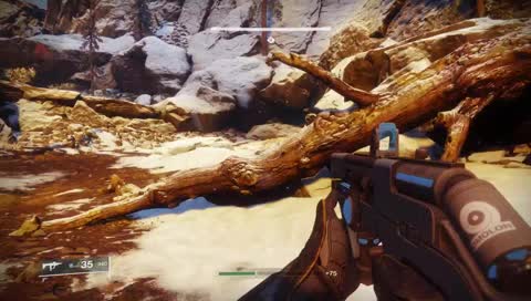 [PS4] Attempting my first d2 PC stream... don't bully me