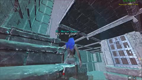 dbd