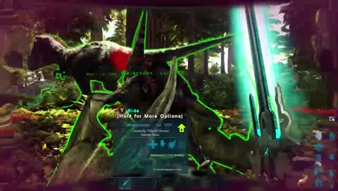 chill stream