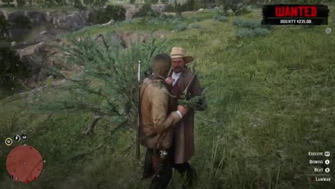 Taking over the wild west