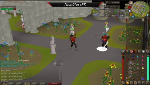 Nich0lass - Maxed Pure NH Pking In Risk!