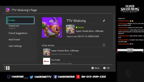 24 hour Livestream on smash