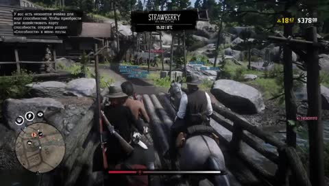 Тёмная сторона силы