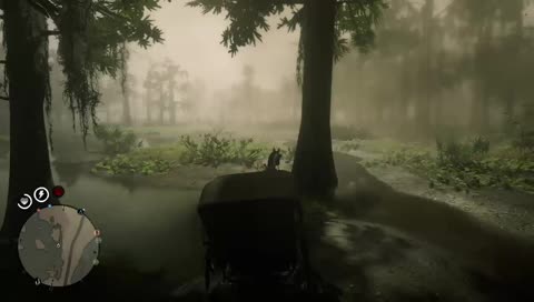 messing around in red dead