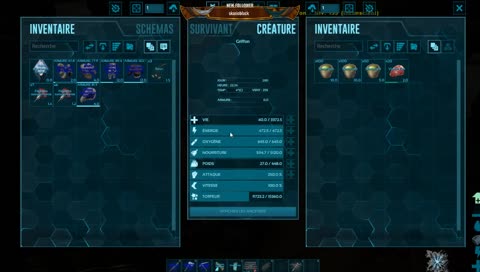 [FR] Y a plein de bébés !!