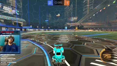THE SNIPE IN MID AIR