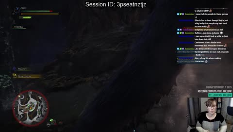 【Birdie】PC MHW, the move from PS4