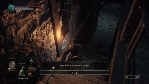 Dark souls 3 - 2nd playthrough, never done DLC.