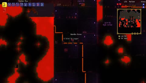Terraria with my boi Kyle
