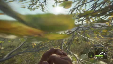 [GER|PS4|18+] DLC: Park Fernando mit Zuschauern spielen